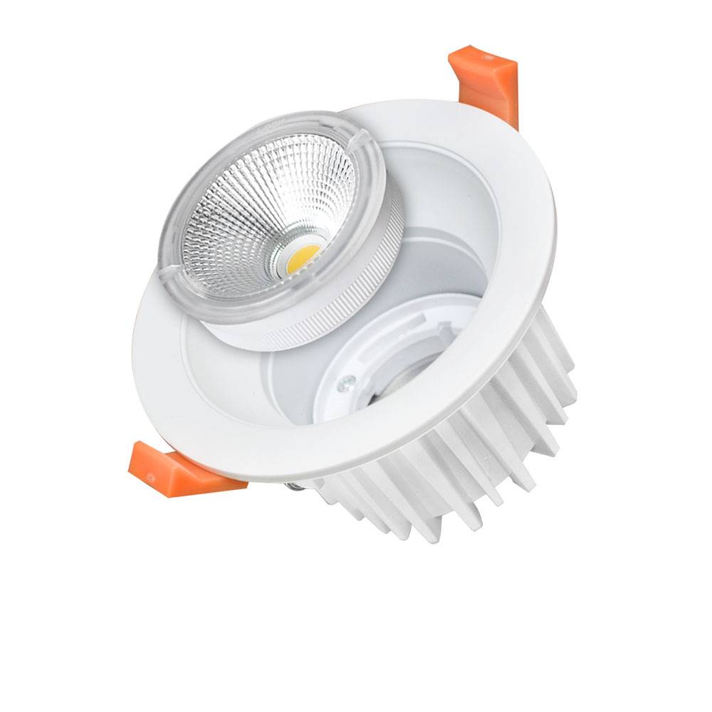 3241 25W LED ЛУНА COB КРЪГЛА, СМЕНЯЩ ЧИП, 6000K - Image 1
