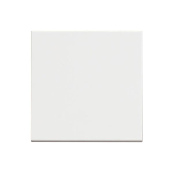 RW4001M2P Classia Обикновен ключ 10А 2М бял - Image 1